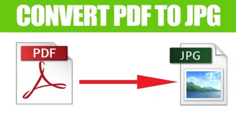 Role of PDF to JPG Converter Online nowadays