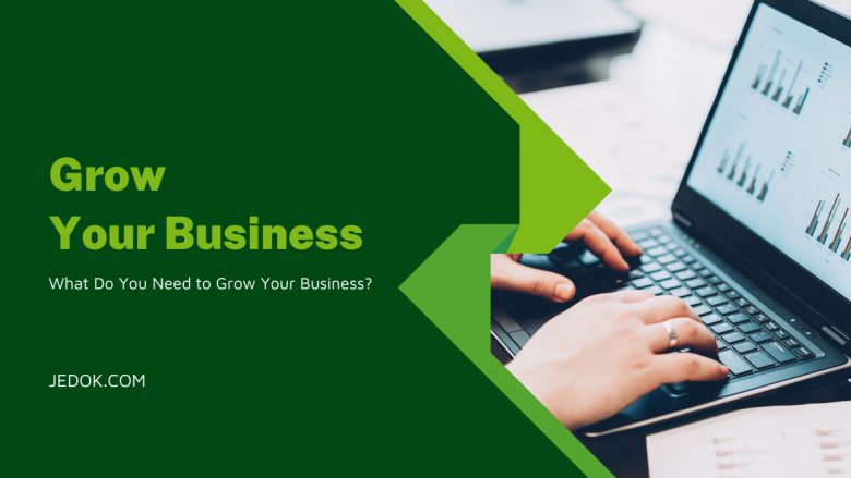 What Do You Need to Grow Your Business?